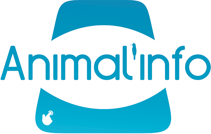 borne conseils animaux