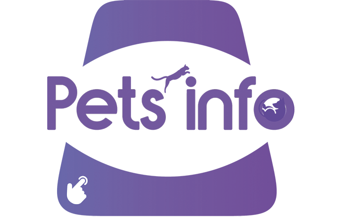 borne conseils croquette